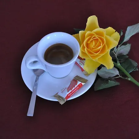 Otel Belmare Marciana (Isola d'Elba)